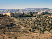 Viaje Israel y Jordania (día 11)